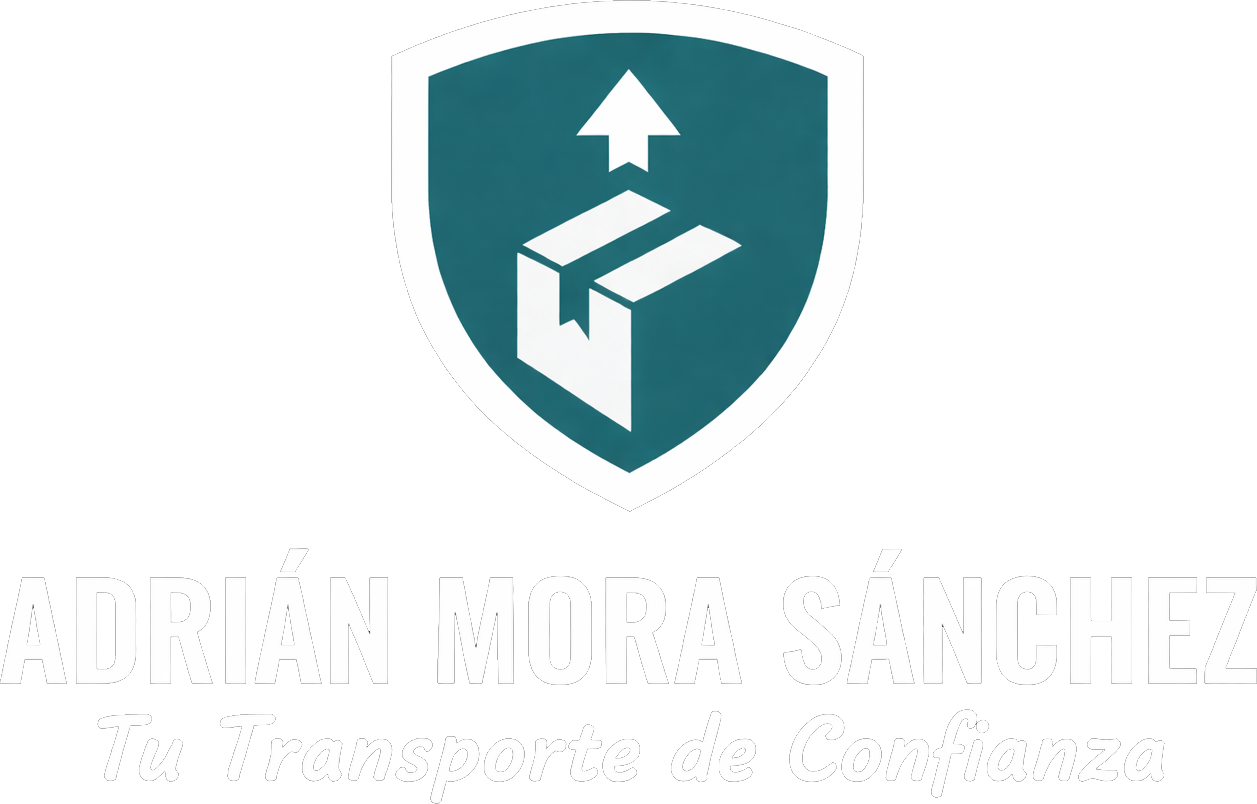logo de website